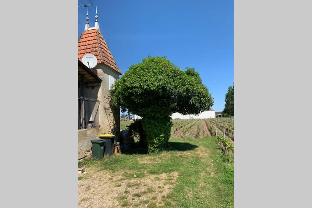 Chateau Roseyrol Proche Saint-Emilion Luaran gambar