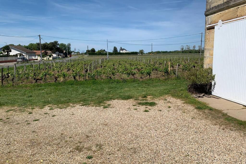 Chateau Roseyrol Proche Saint-Emilion Luaran gambar