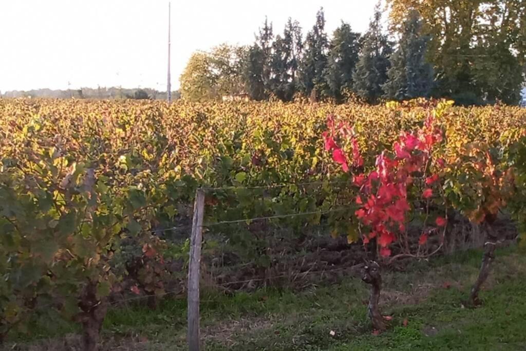 Chateau Roseyrol Proche Saint-Emilion Luaran gambar